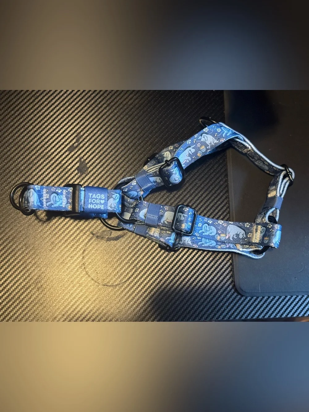 Tags for Hope step in harness